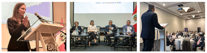 Sra. Suzanne Lemaitre, Panel